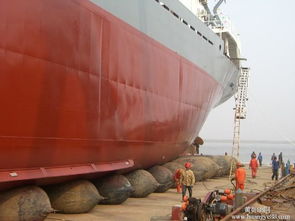 牛下水報價 廠家